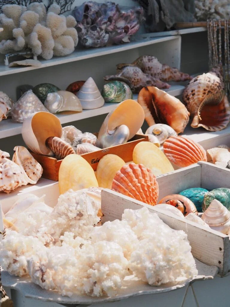 Marine Products
